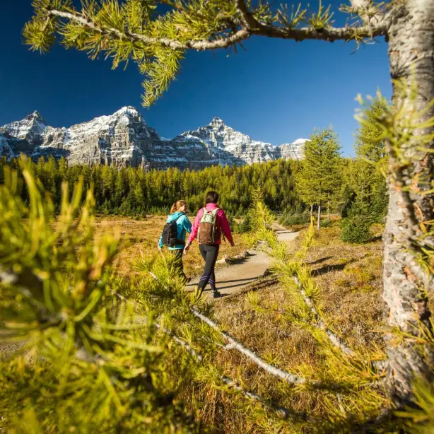 ca_couples_hiking lake louise larch valley sentinel pass