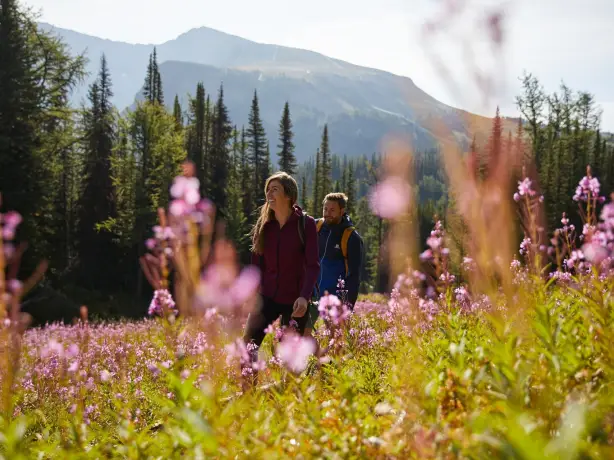 Ein Paar wandert durch eine Wiese mit einem Berg im Hintergrund in Kanada
