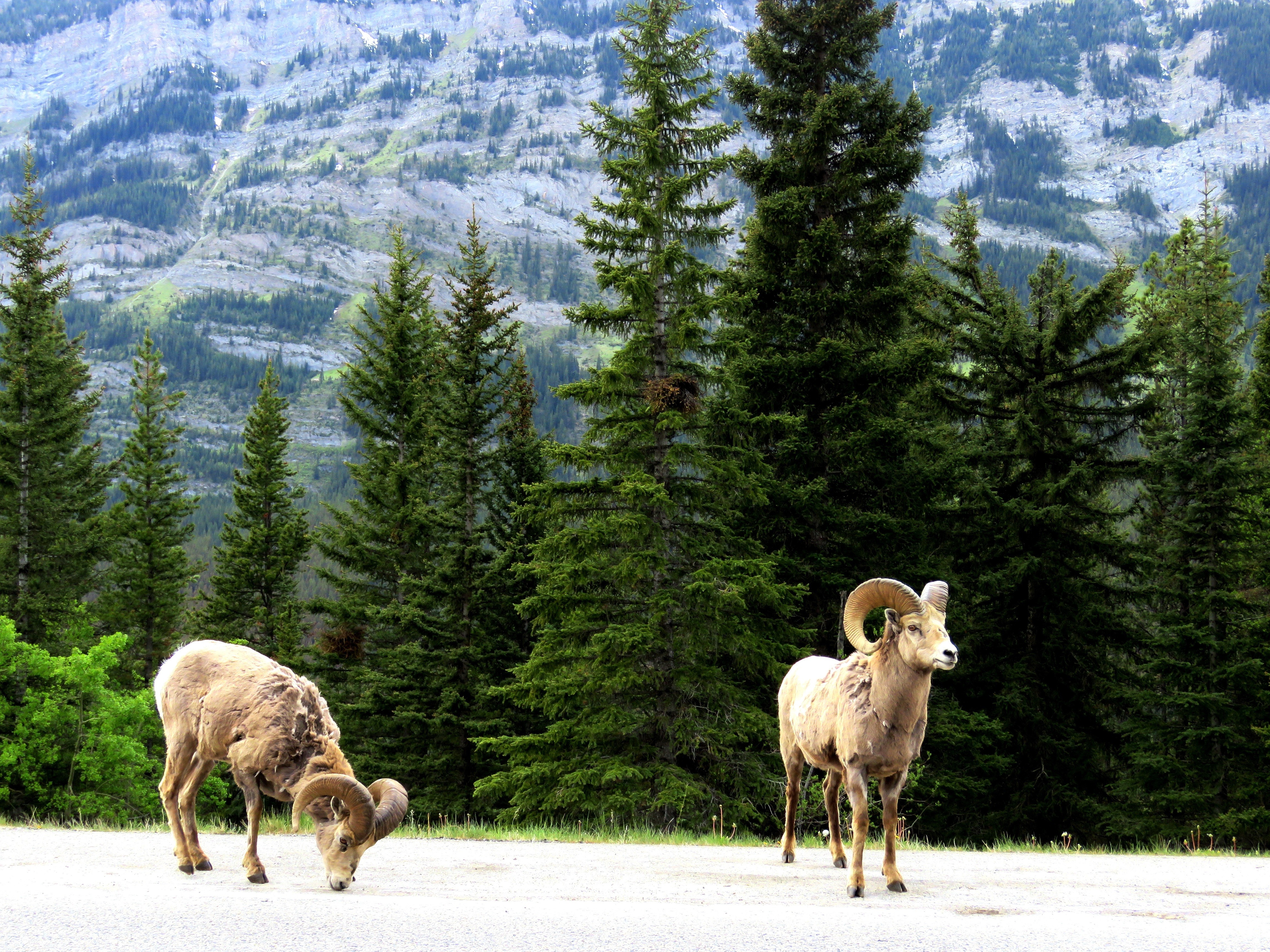 Kanada Banff Nationalpark