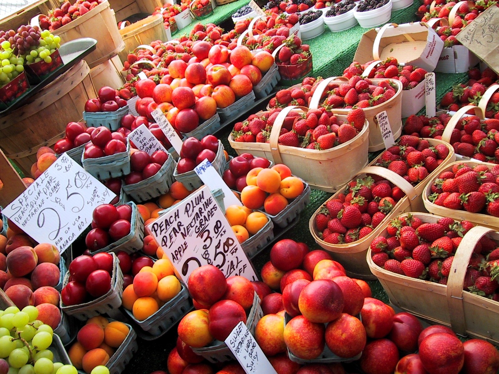 Kanada Ontario Ottawa Byward market