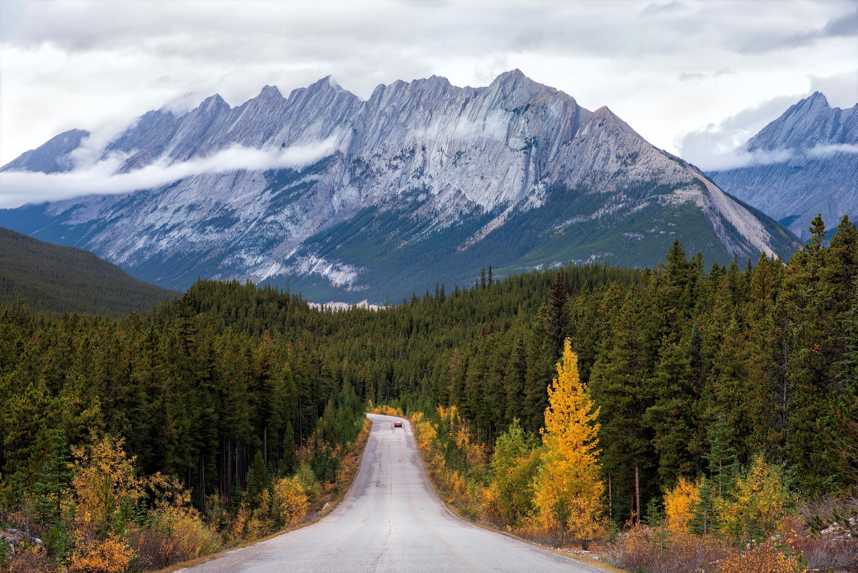 A winding road leading through dense forest towards rugged mountain peaks in Canada, with early autumn colours along the roadside.