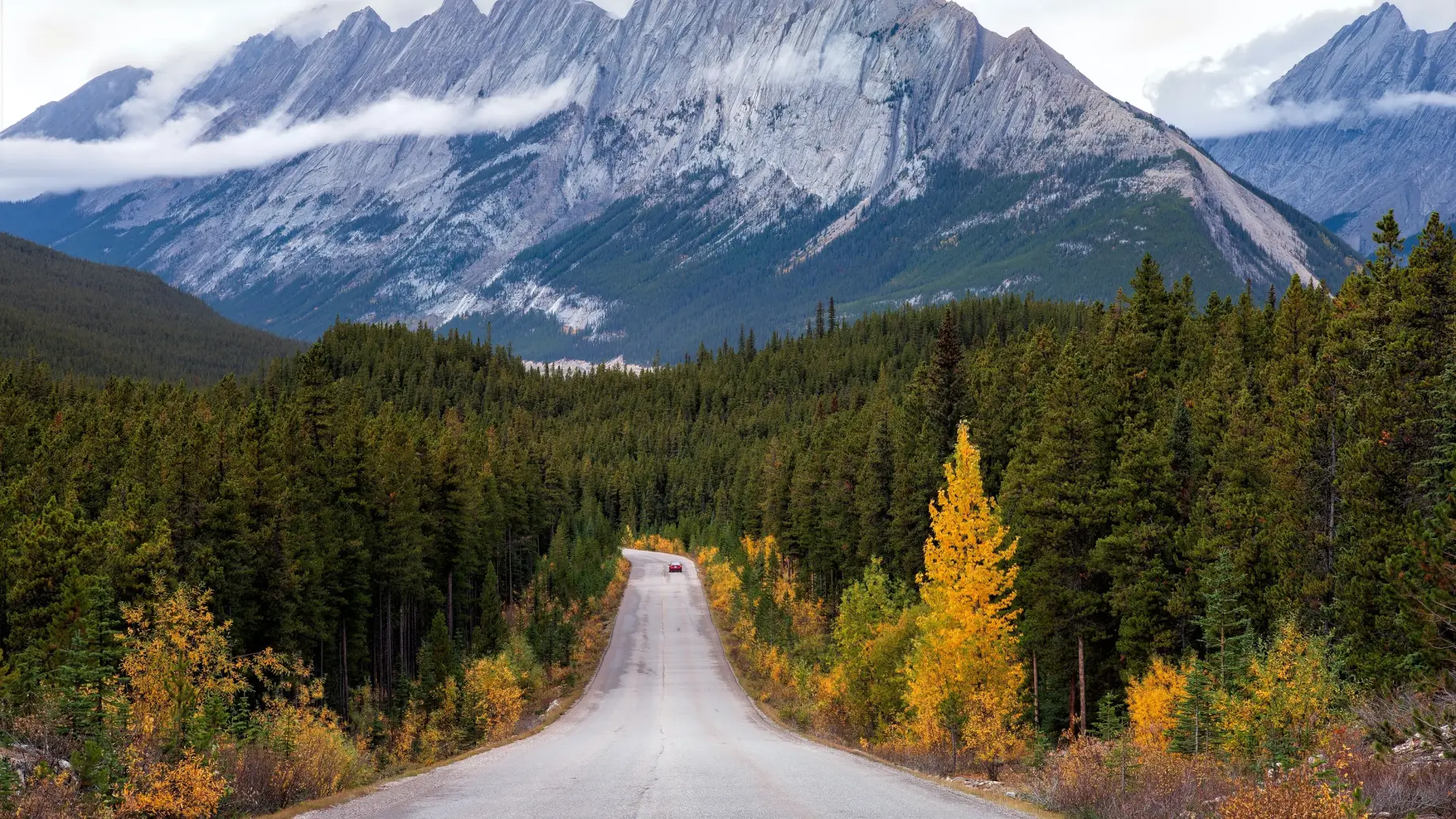 A winding road leading through dense forest towards rugged mountain peaks in Canada, with early autumn colours along the roadside.