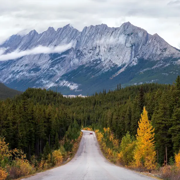 A winding road leading through dense forest towards rugged mountain peaks in Canada, with early autumn colours along the roadside.