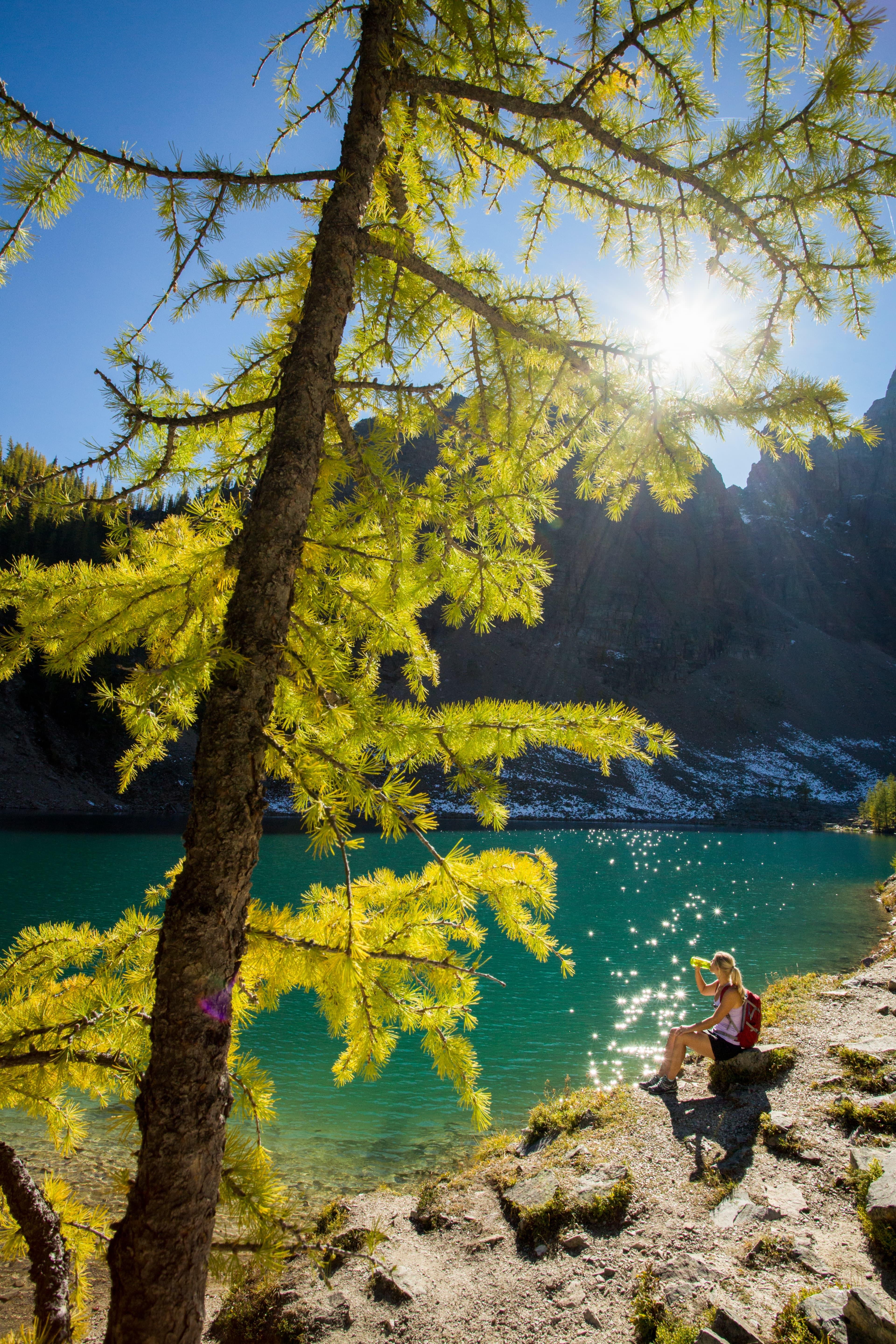 Can hiking lake louise lake agnes tea house paul zizka resized