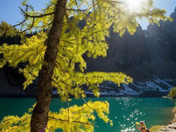 Can hiking lake louise lake agnes tea house paul zizka resized