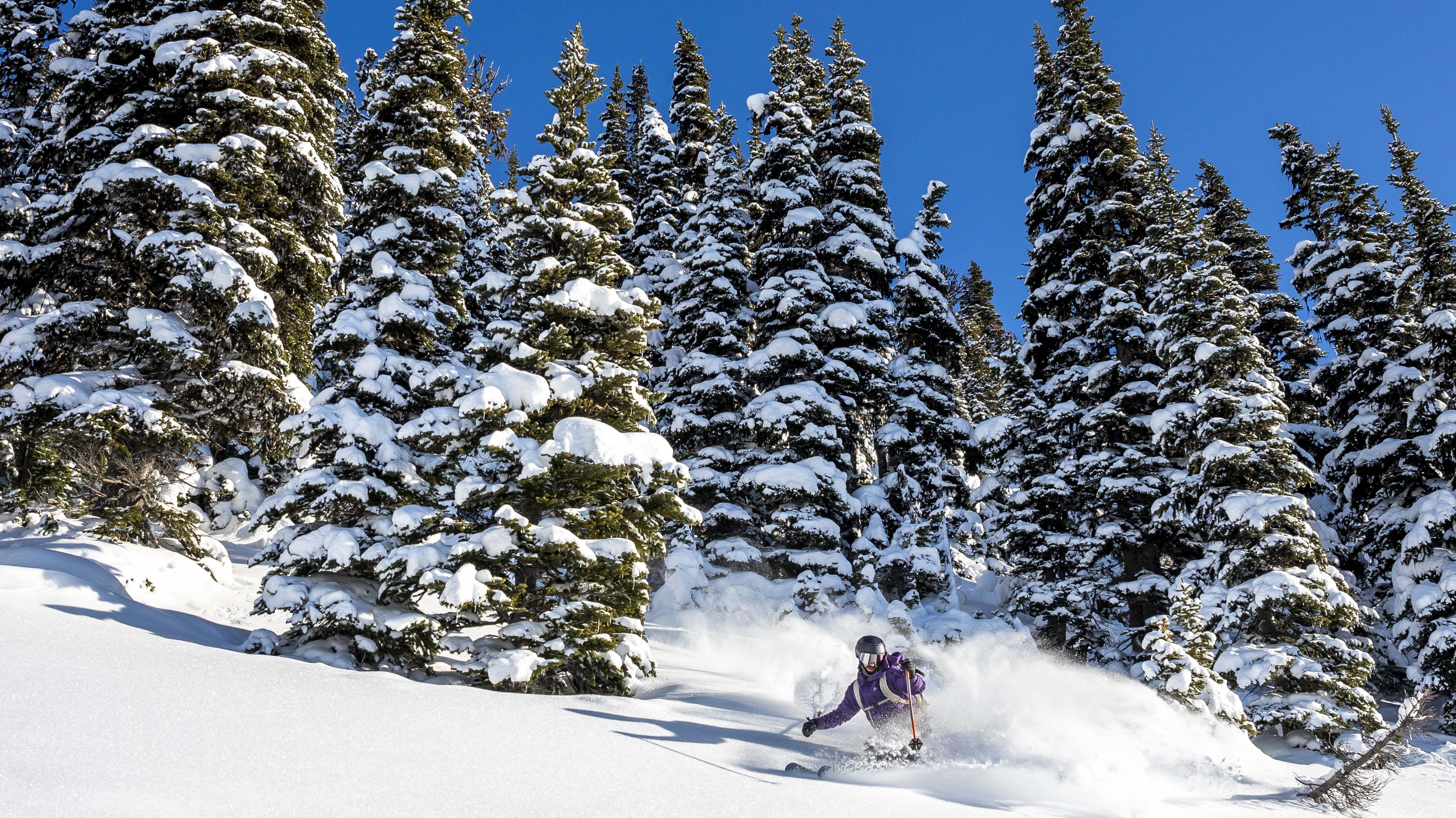 Skiing Canada 2