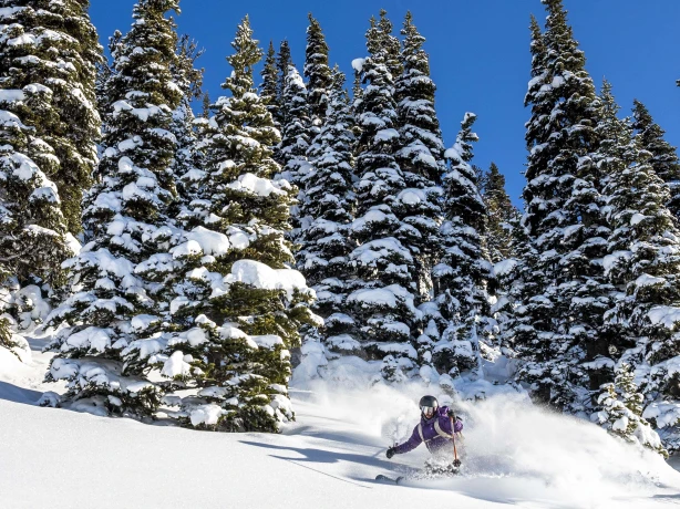 Skiing Canada 2