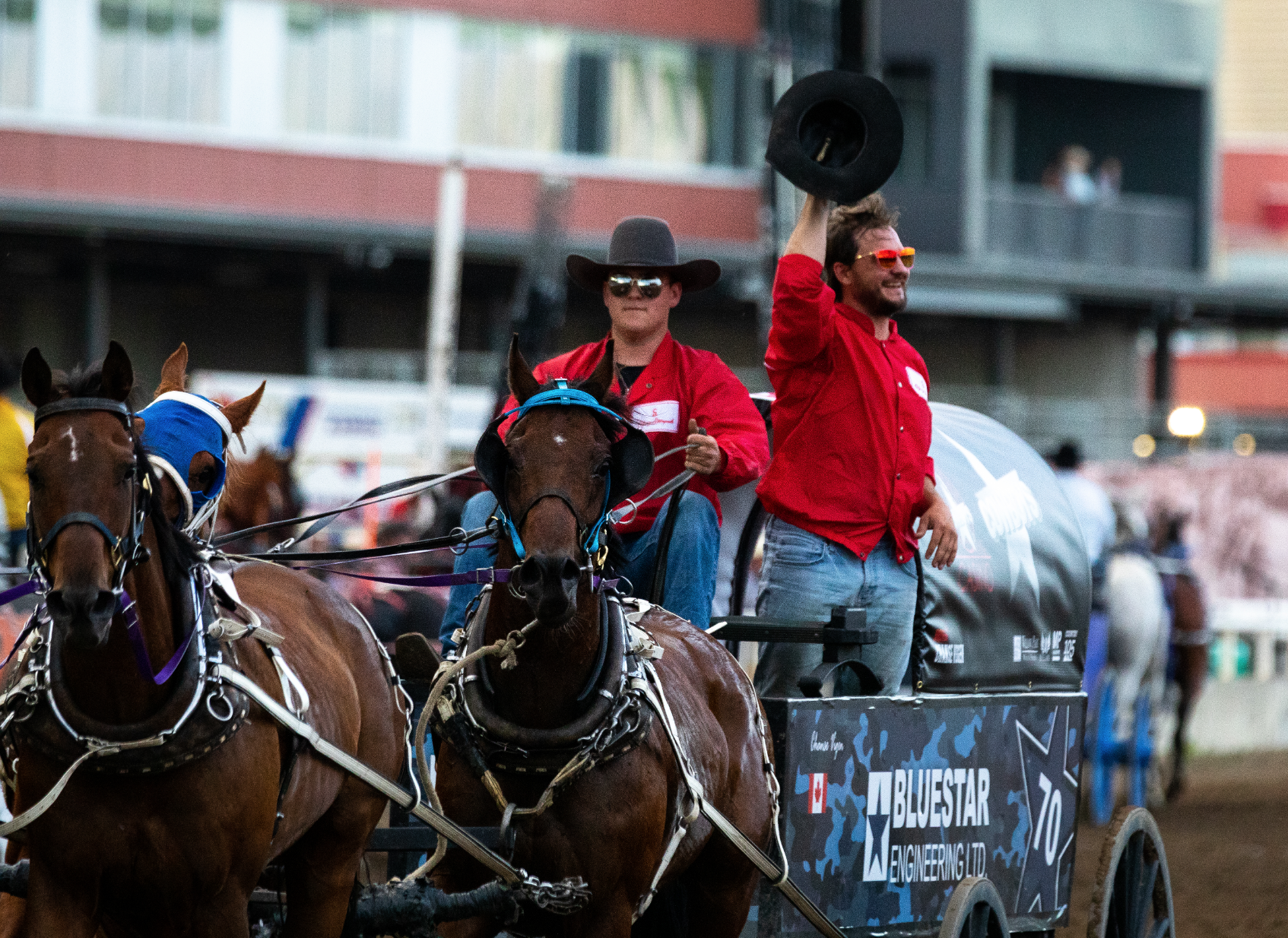 Kanada Calgary Stampede Kutsche