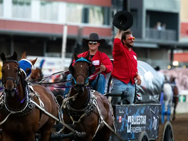 Kanada Calgary Stampede Kutsche