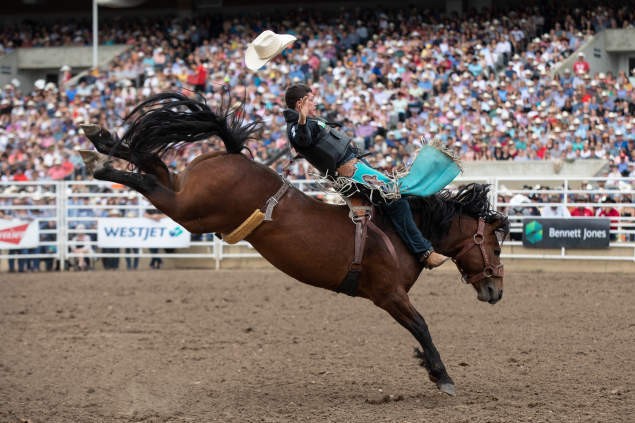 Kanada Calgary Stampede Rodeo