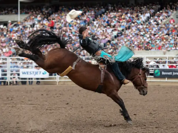 Kanada Calgary Stampede Rodeo