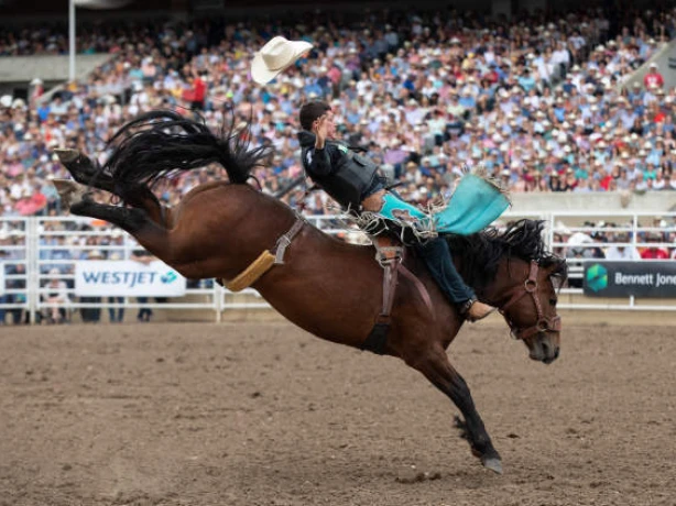 Kanada Calgary Stampede Rodeo