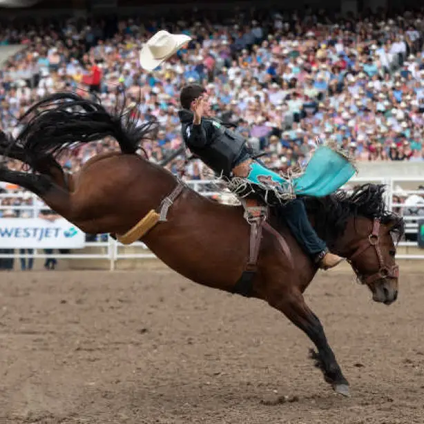 Kanada Calgary Stampede Rodeo