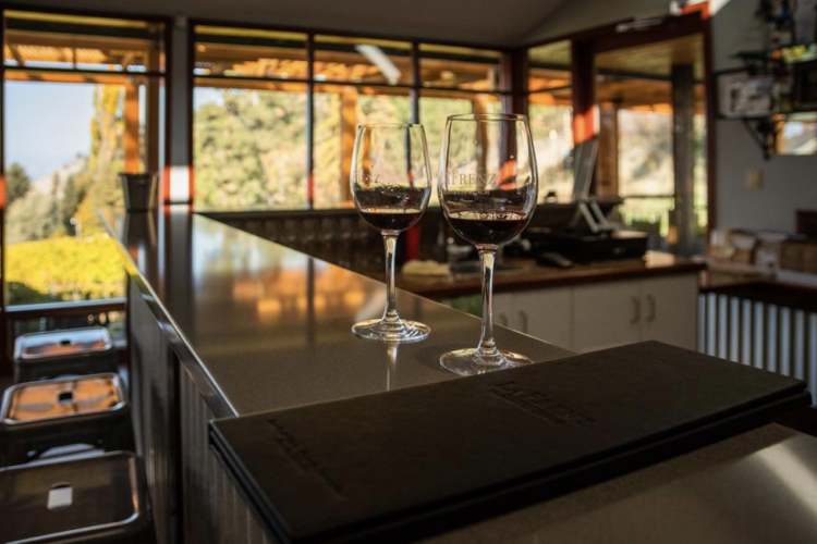 5619 Burnt Grass Vineyards 1616017734 lafrenzwinery