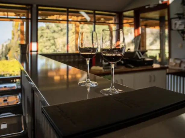 5619 Burnt Grass Vineyards 1616017734 lafrenzwinery