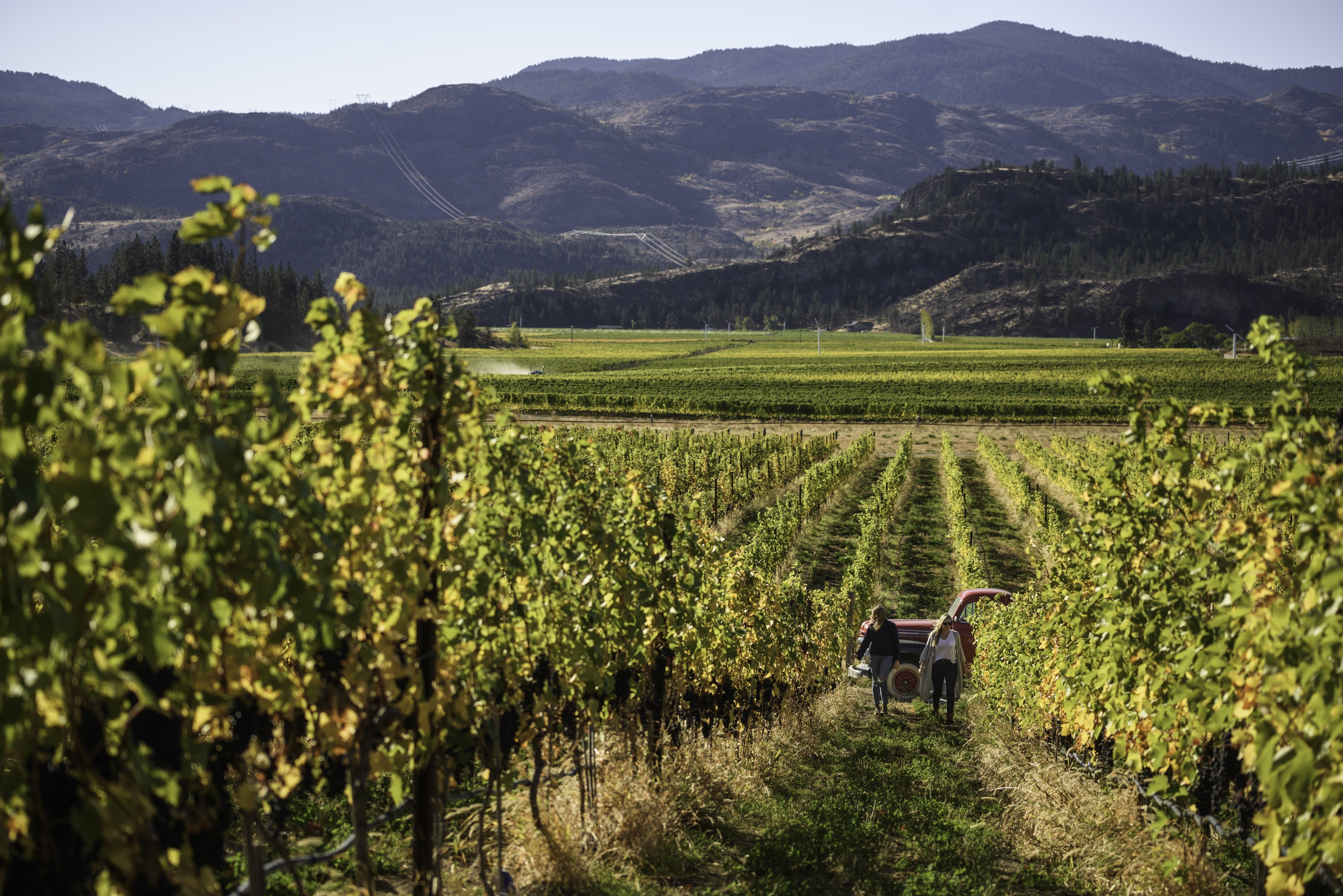 Okanagan Valley24992 master