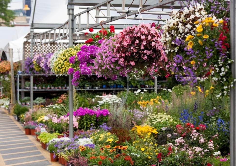 Atwater Market flowers Montreal