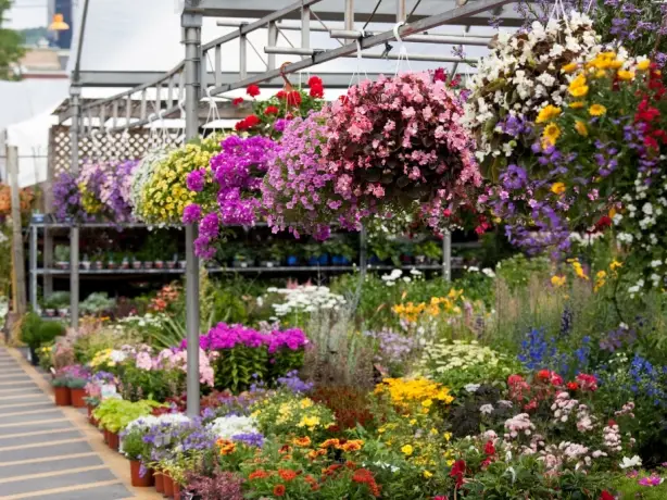 Atwater Market flowers Montreal