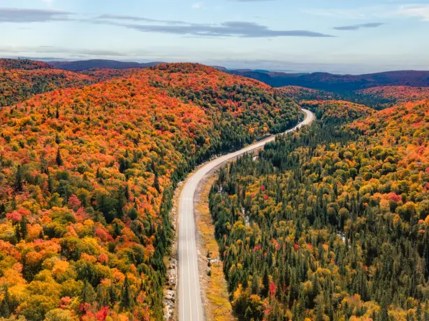 Straße schlängelt sich durch hügelige und bunte Herbstlandschaft in Ontario