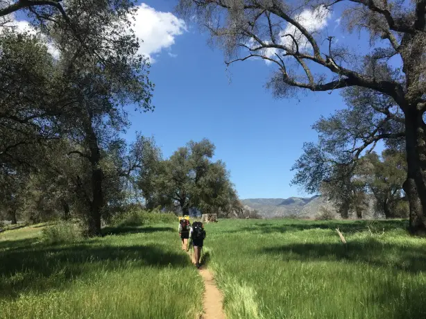 Zwei Wanderer auf einem von Gras gesäumten Wanderweg in Kanada