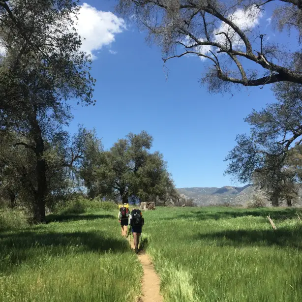 Zwei Wanderer auf einem von Gras gesäumten Wanderweg in Kanada