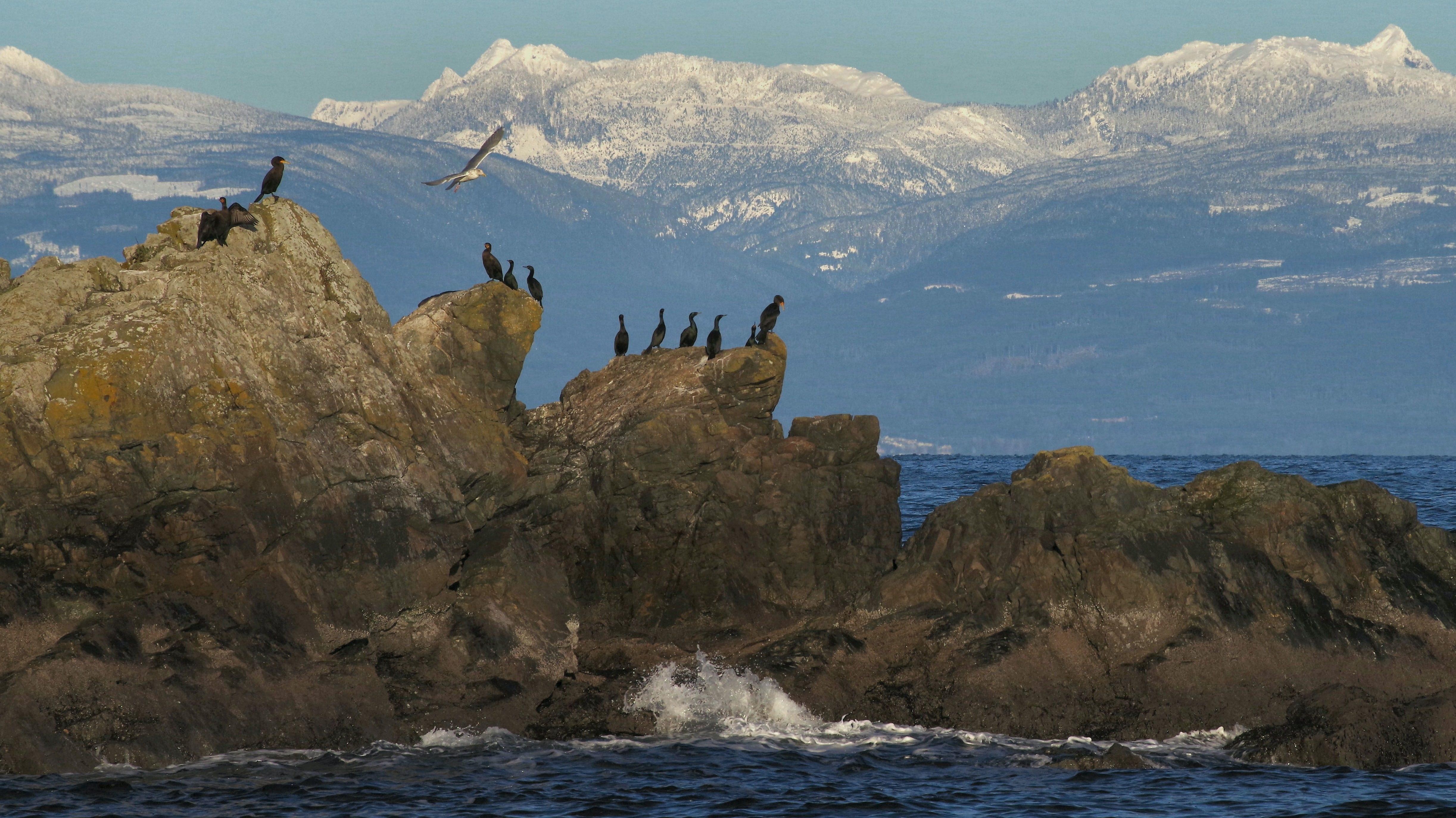 ca-Nanaimo-bc-vancouver island