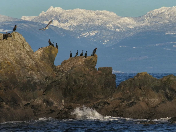 ca-Nanaimo-bc-vancouver island