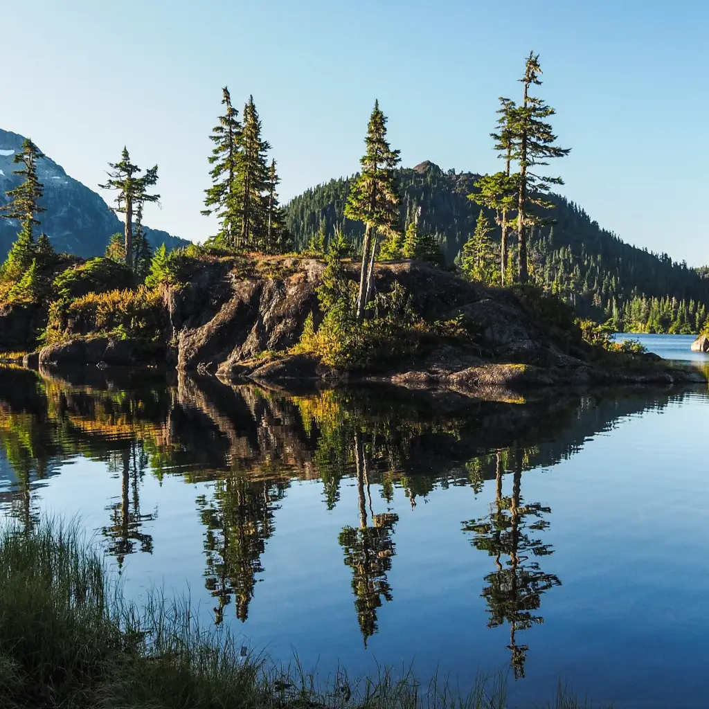 Insel mit Bäumen in Kanada