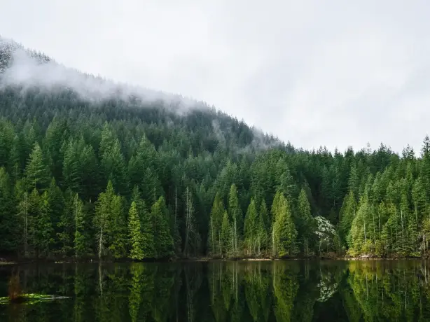Kanada See und Bäume