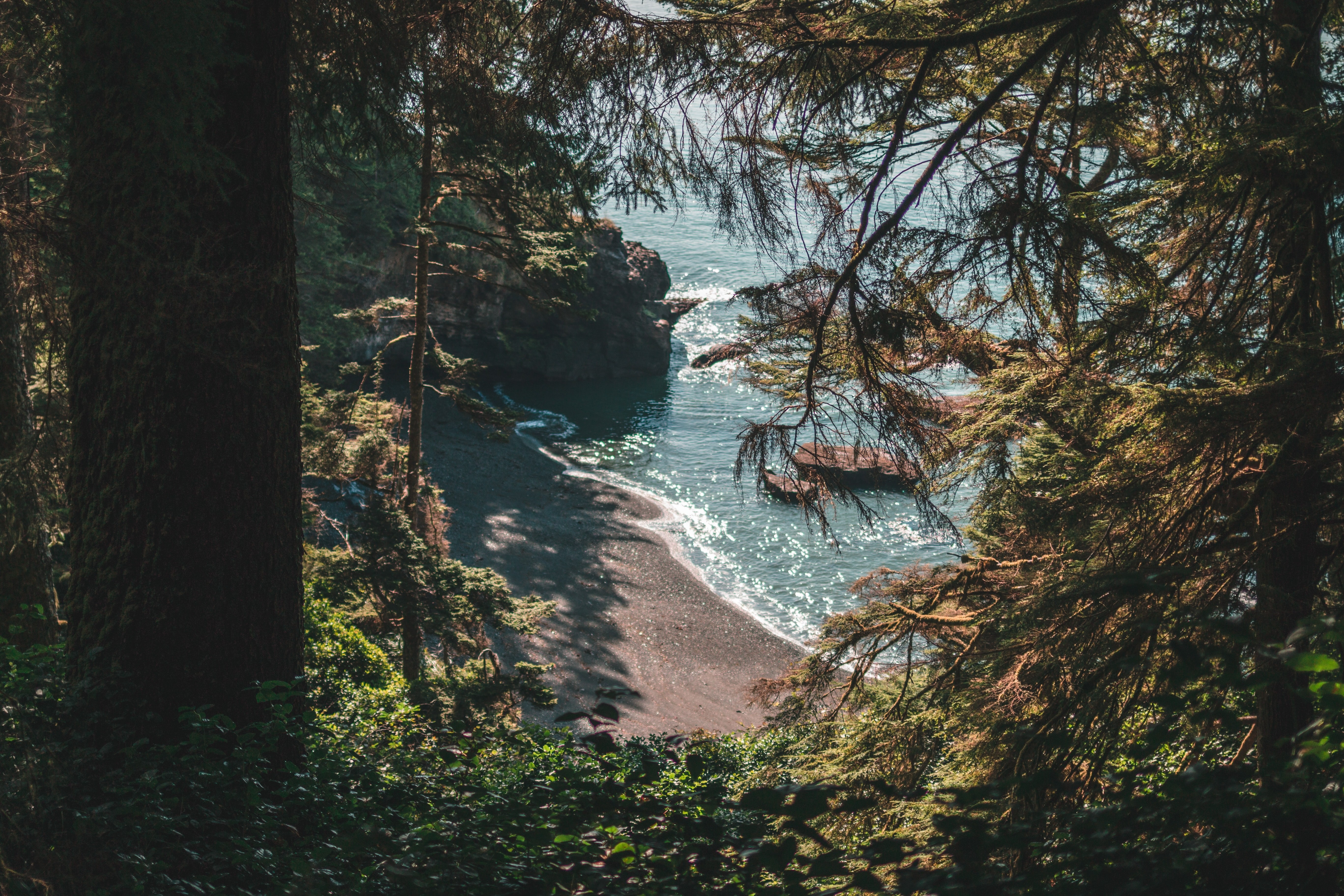 From the forest you look out over a small beach along the coastline of Vancouver Island in Canada