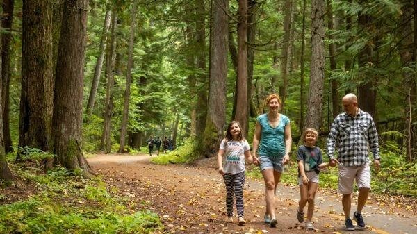 Eine vierköpfige Familie wandert durch einen Regenwald in Whistler, Kanada