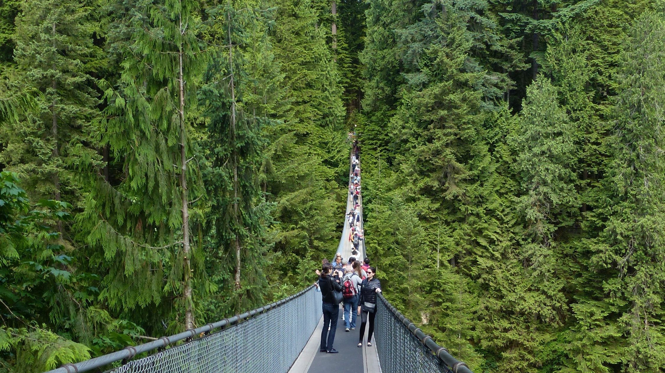 Can Capilano Suspension Bridge vancouver bc 2022 10 25 092823 wfeo