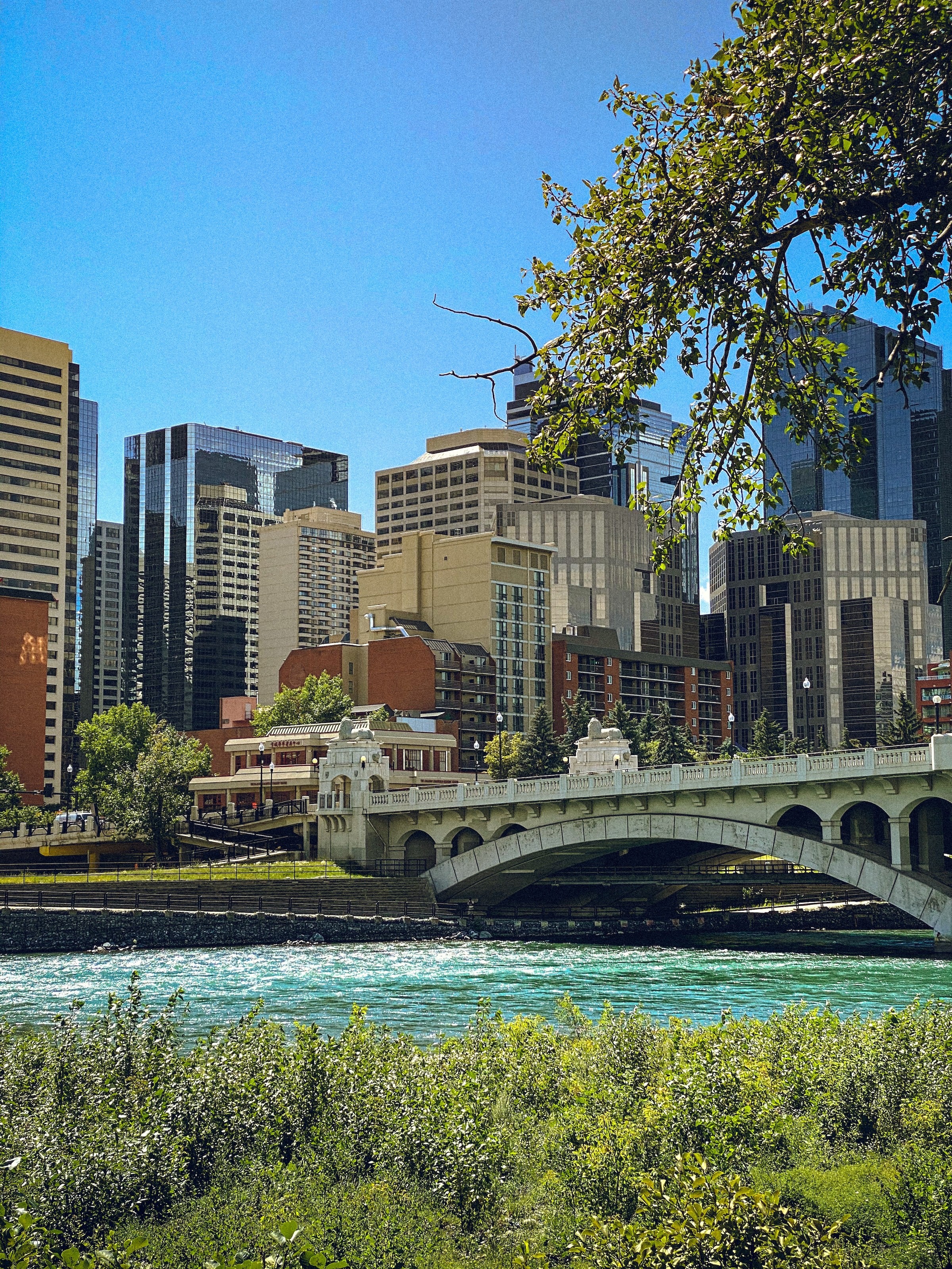 Canada calgary river view