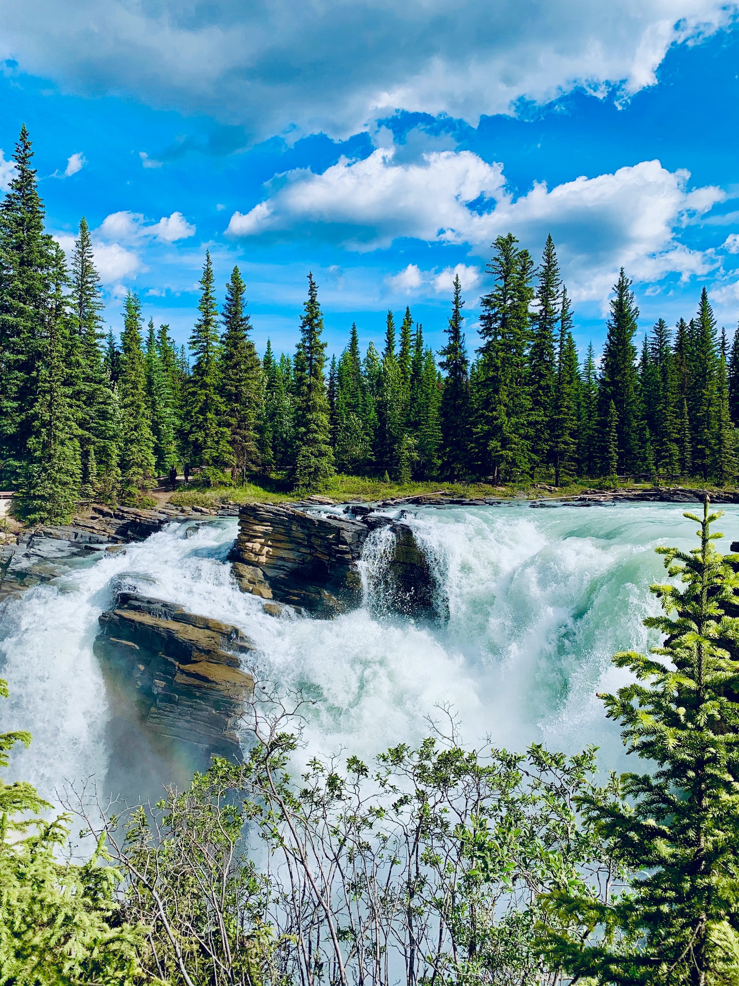 Athabasca Falls in Jasper National Park Canada