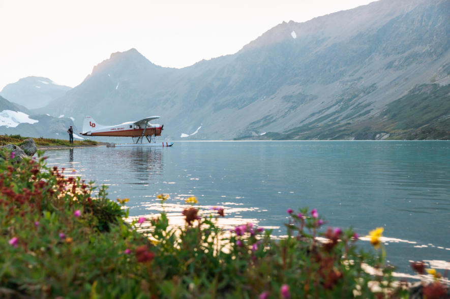Great bear rainforest canada