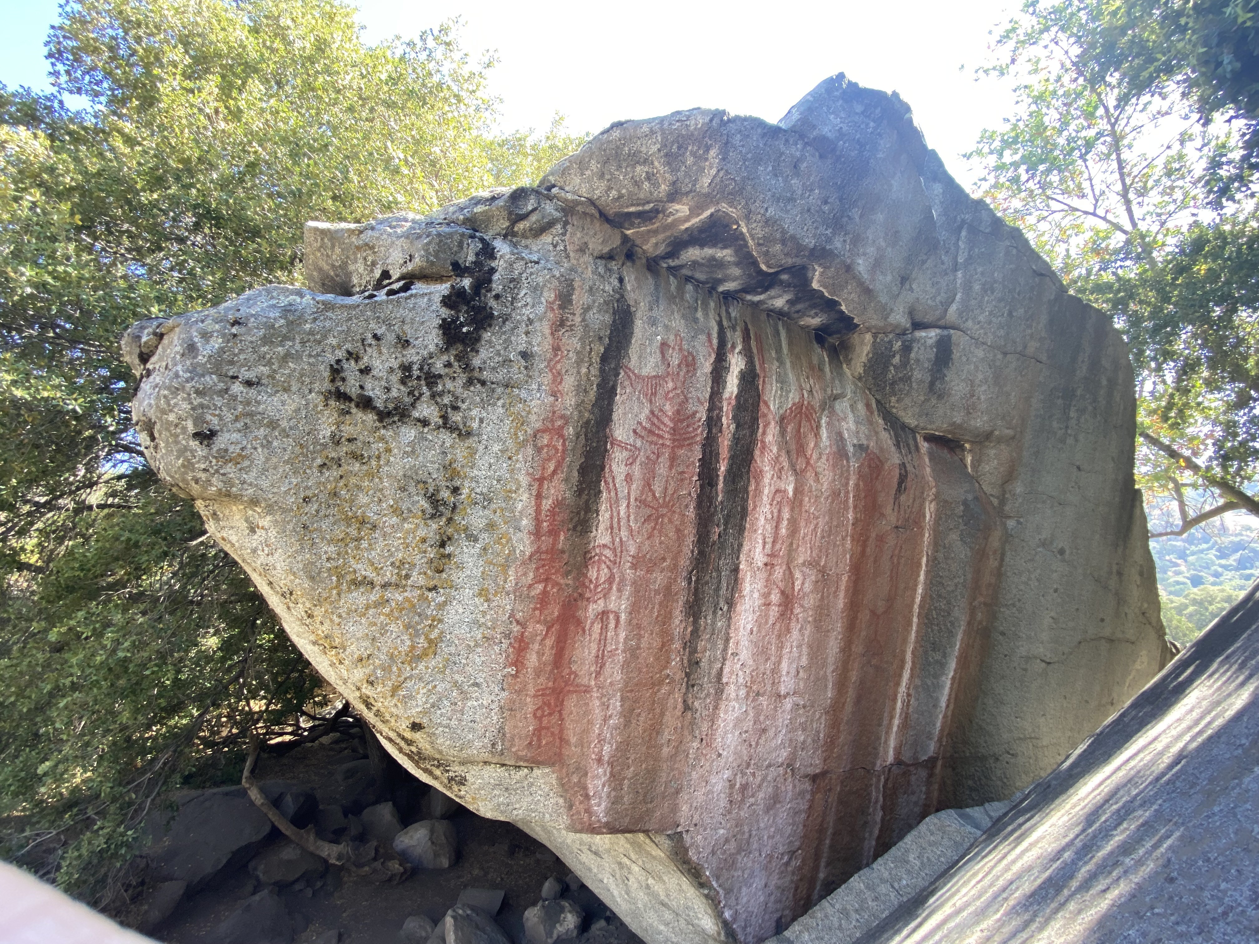 Lester family Sequoia hospital rock