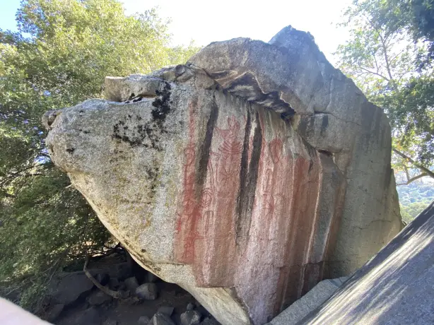 Lester family Sequoia hospital rock