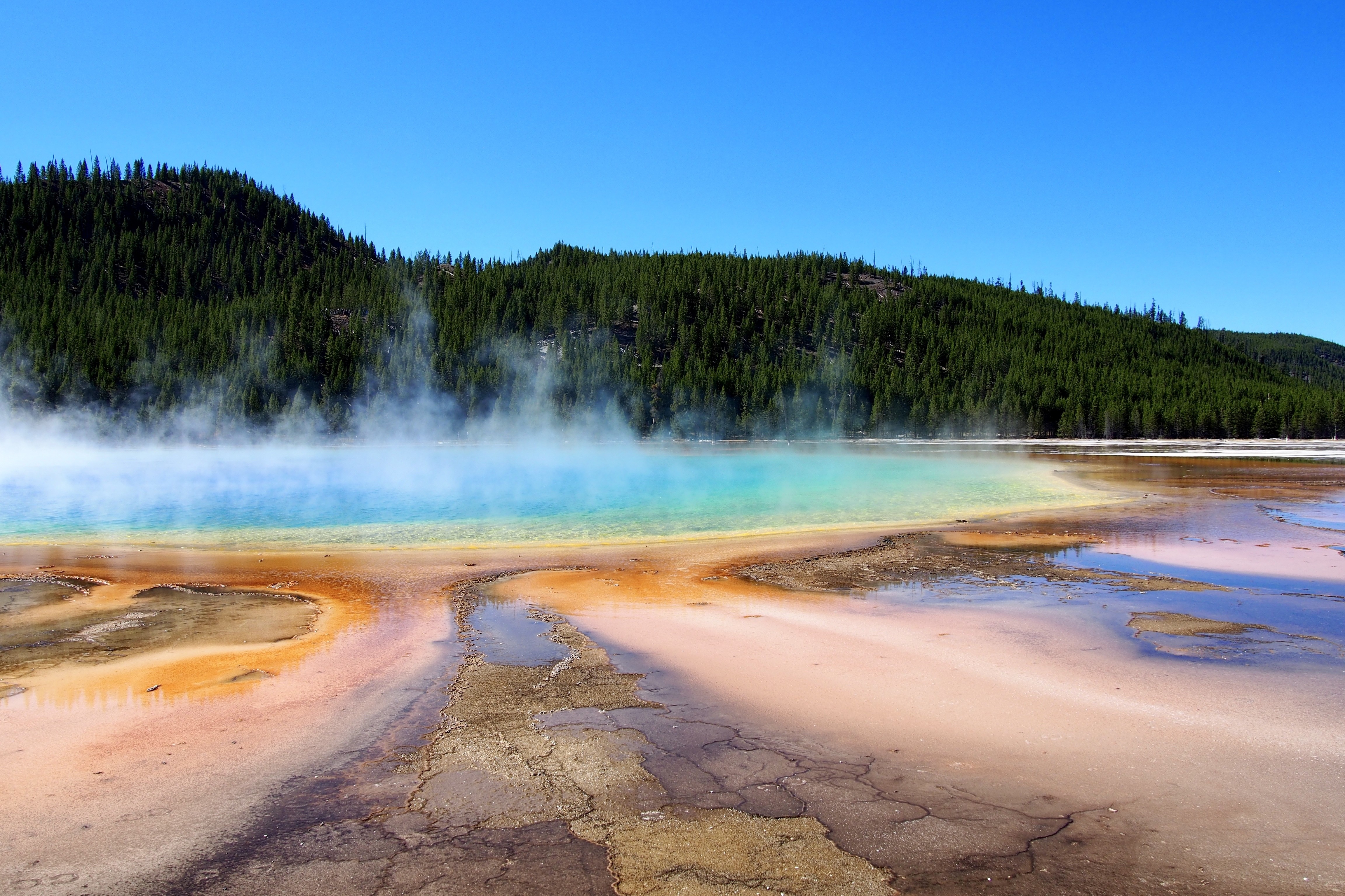 Elizabeth & John Bezzant yellowstone
