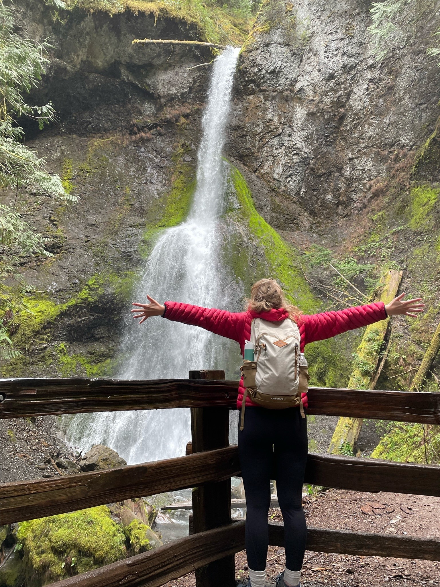 USA Northwest Olympic NP waterfall