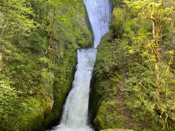 USA Northwest Oregon Columbia River Gorge waterfall