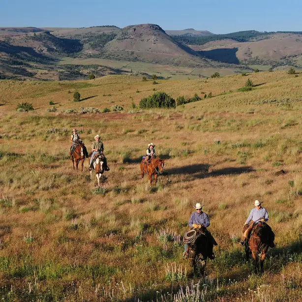 A group of cowboys ride horses through the open plains of Yellowstone, USA