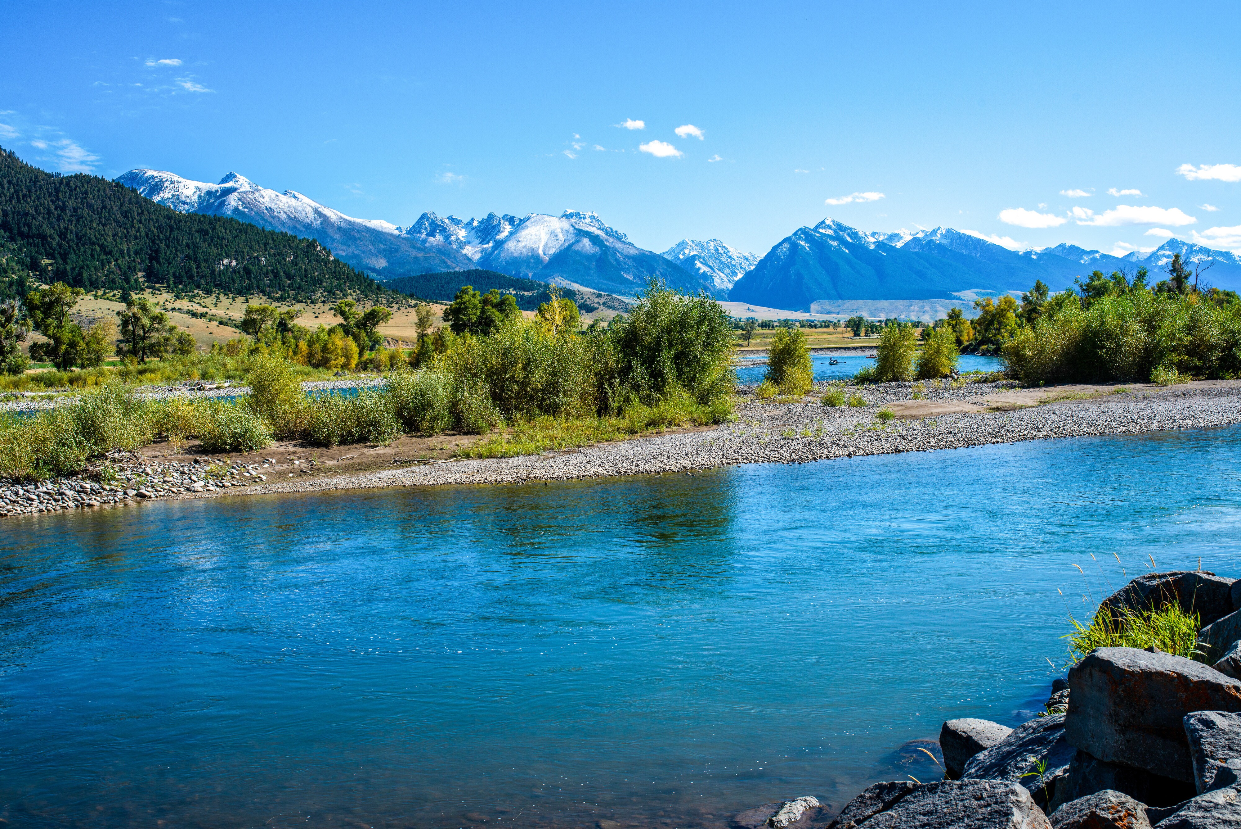 A river runs through Yellowstone National Park, with snowy mountains and green trees in the background