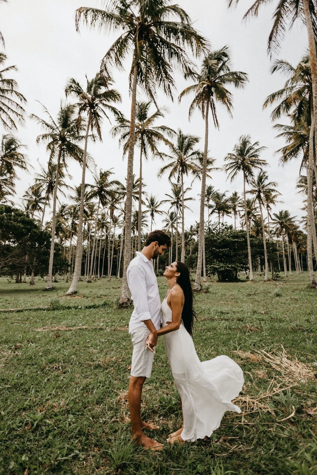 Us hawaii wedding palmtrees unsplash