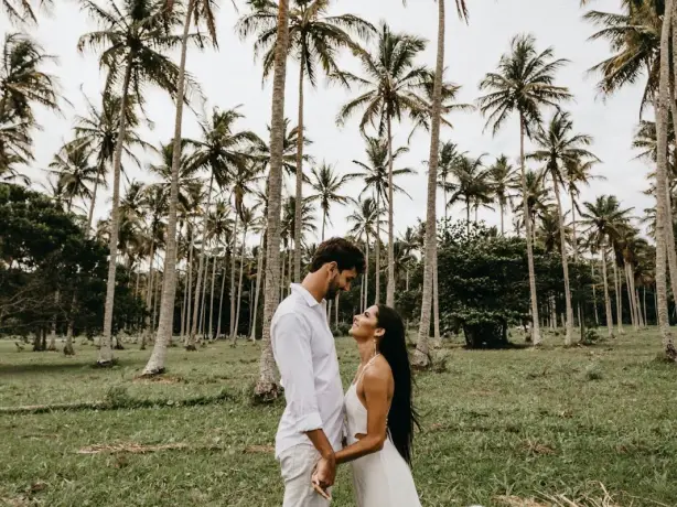 Us hawaii wedding palmtrees unsplash