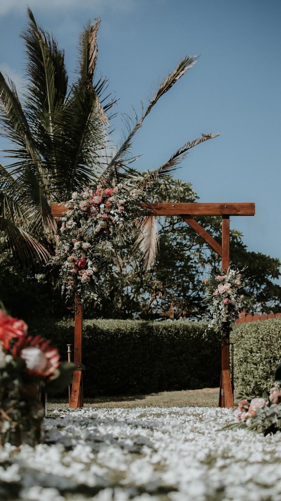 Us hawaii wedding plants unsplash