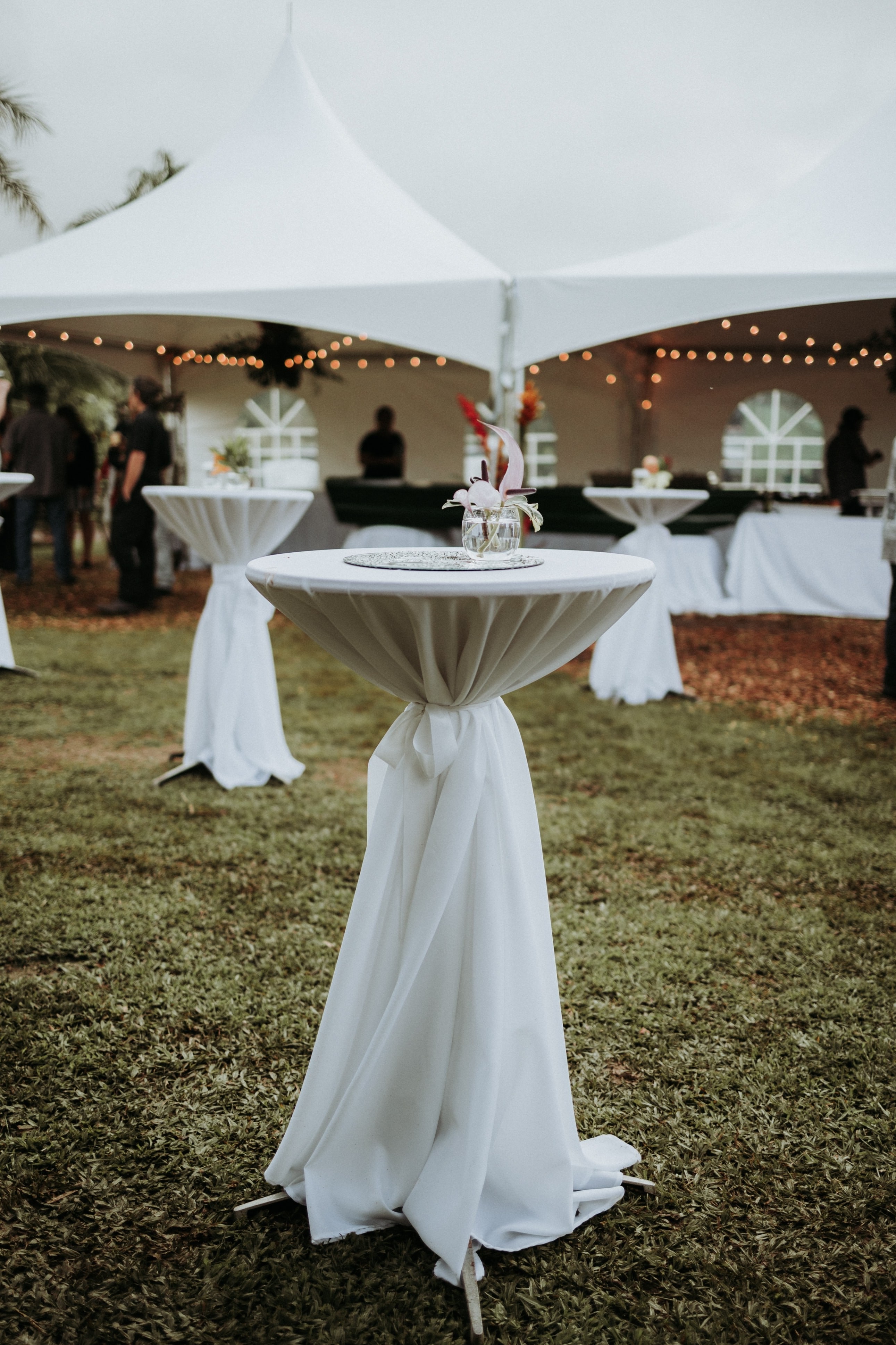 Us hawaii wedding tent unsplash