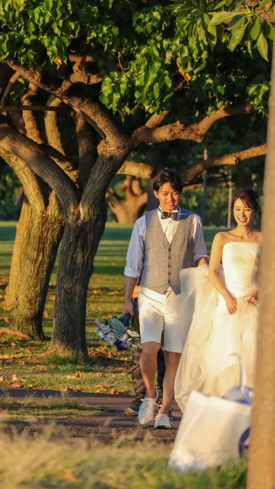 Us hawaii wedding trees unsplash