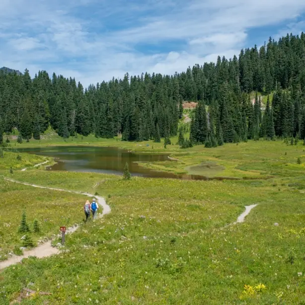 Twee mensen lopen door een groen veld in Mount Rainier National Park met op de achtergrond de groene bossen en een kleine waterplas