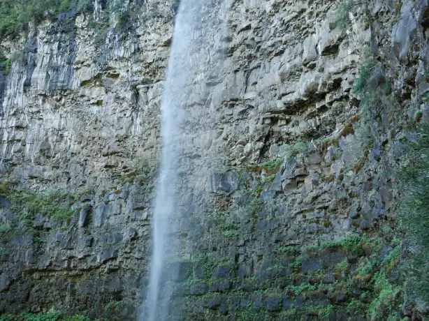 USA Oregon Umpqua National Forest Watson Falls