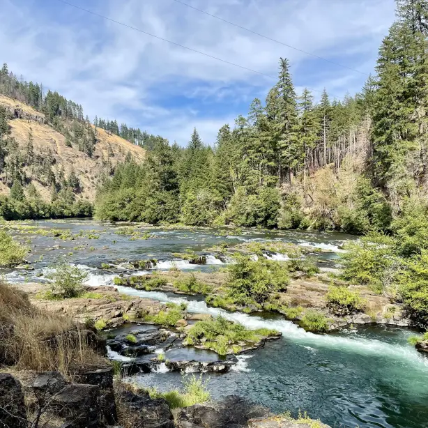 De groene bossen en het water in het Umpqua National Forest